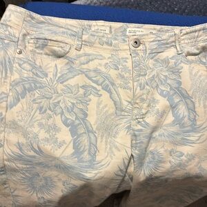 J.Jill denim jeans. White background with light blue floral. Size 12